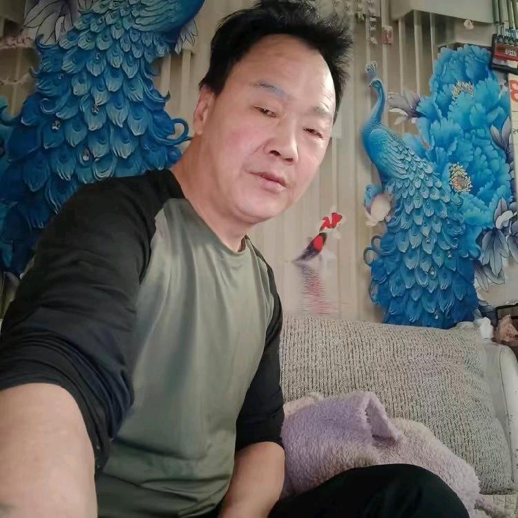 月亮🌙🧚‍♂️🐝🕊