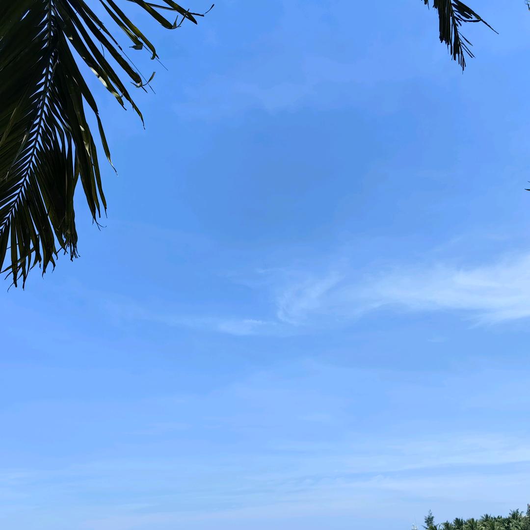 🀄🀄🀄🀄老八