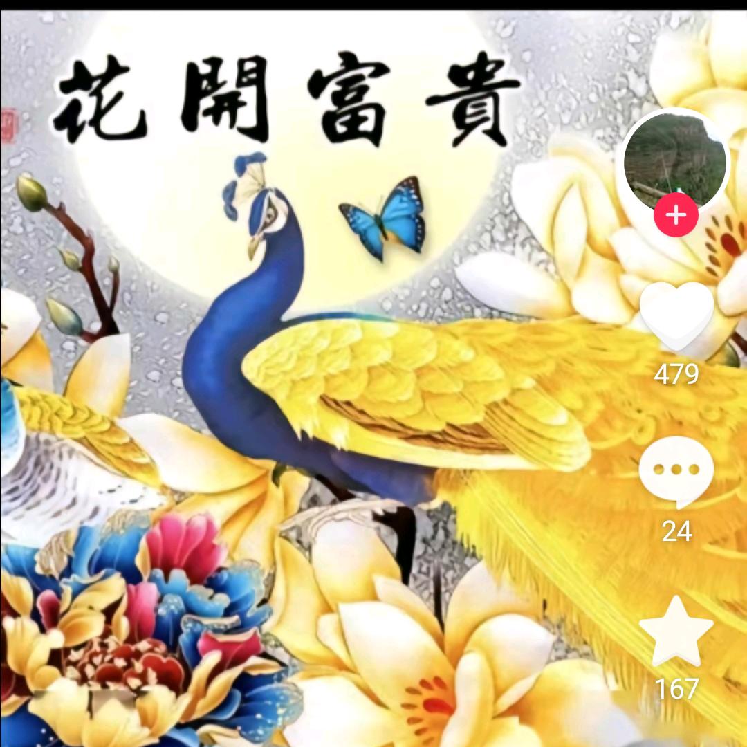 诺诺爷爷