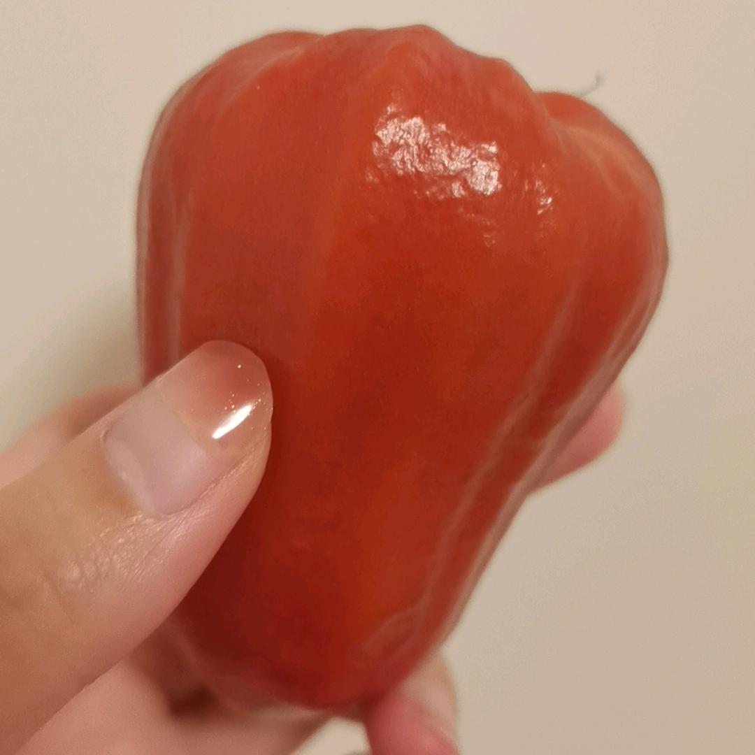 伽