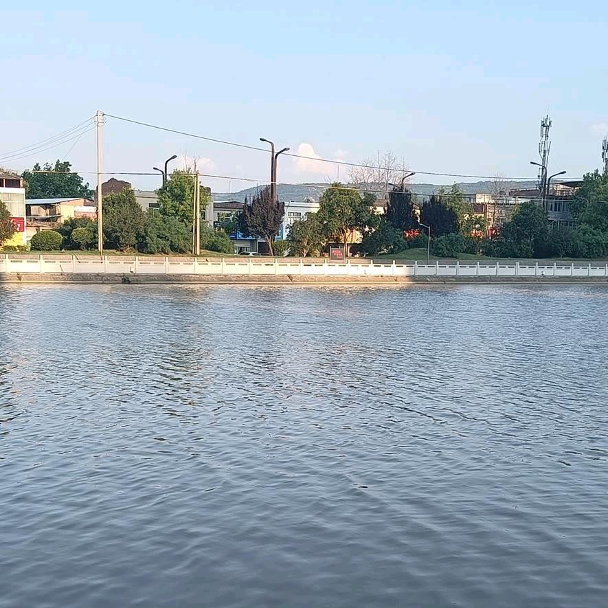 《🌹 爱的旋律🌹 》