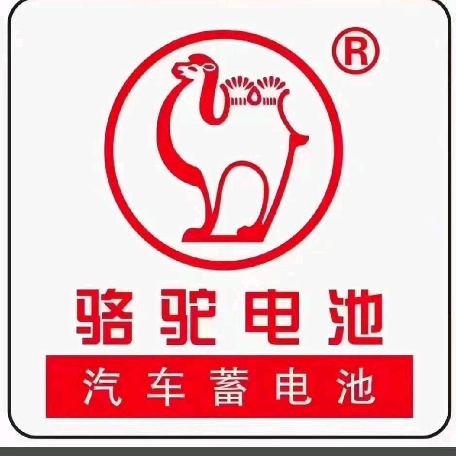从化骆驼蓄电池丶梁仔