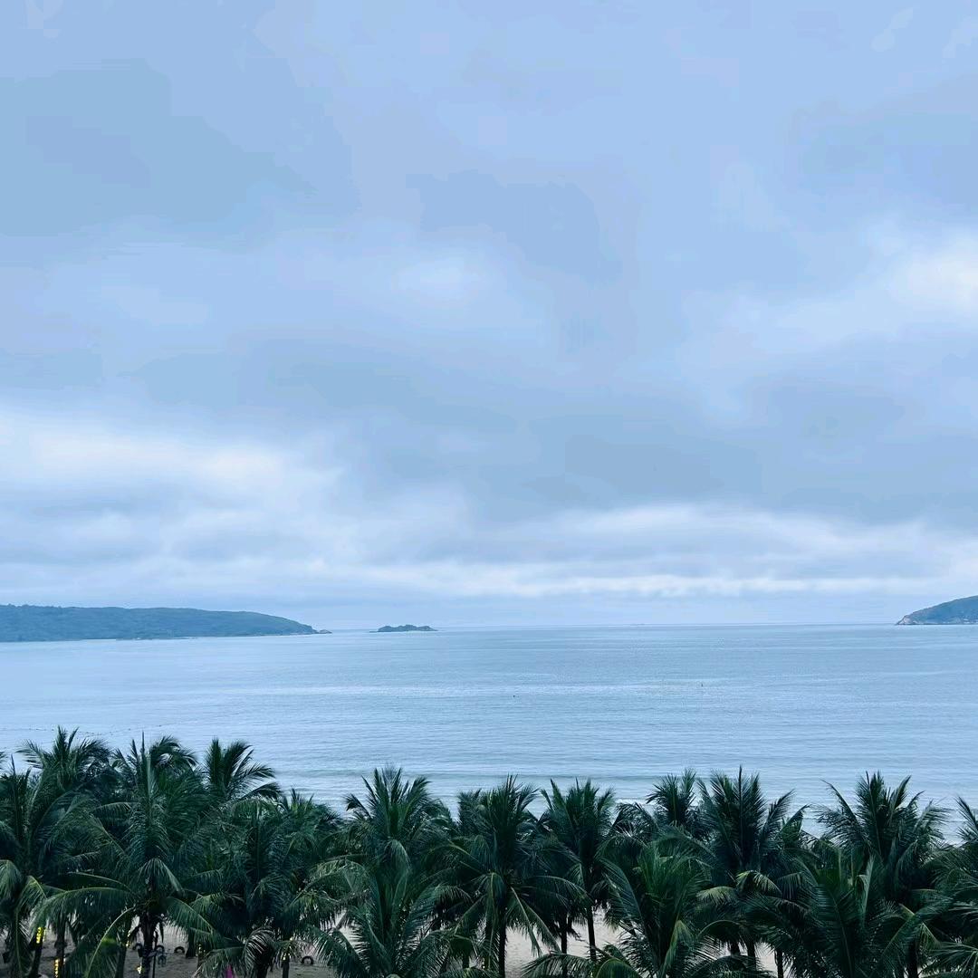 爱开箱子的小董
