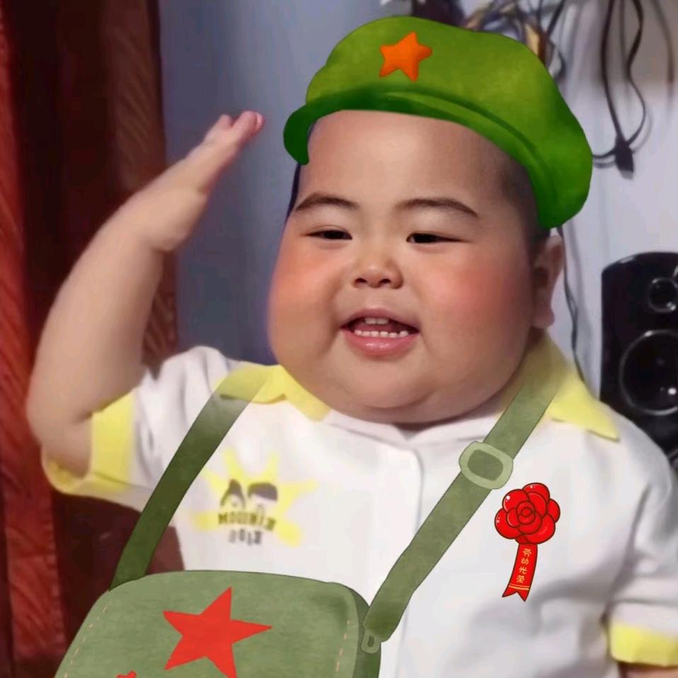 我真没招了