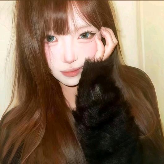 mengyi