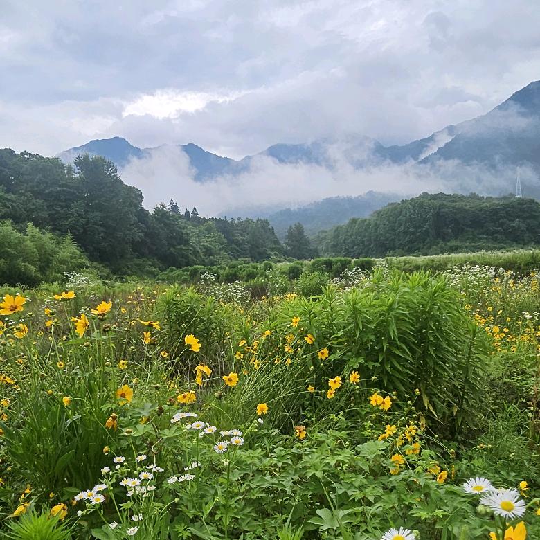 ——观世界——