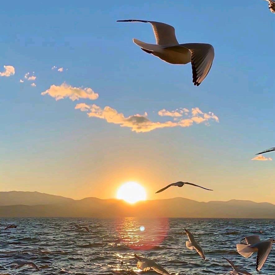 你于我凌晨的包子铺