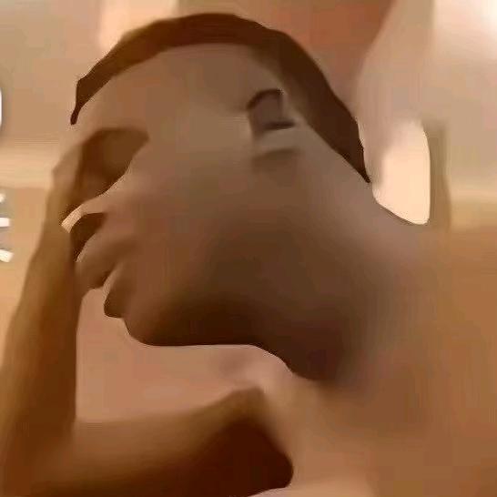 迷你世界鸟兽兽