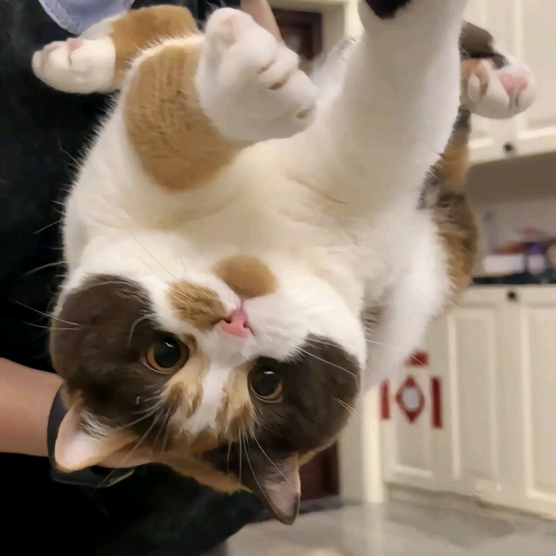 水