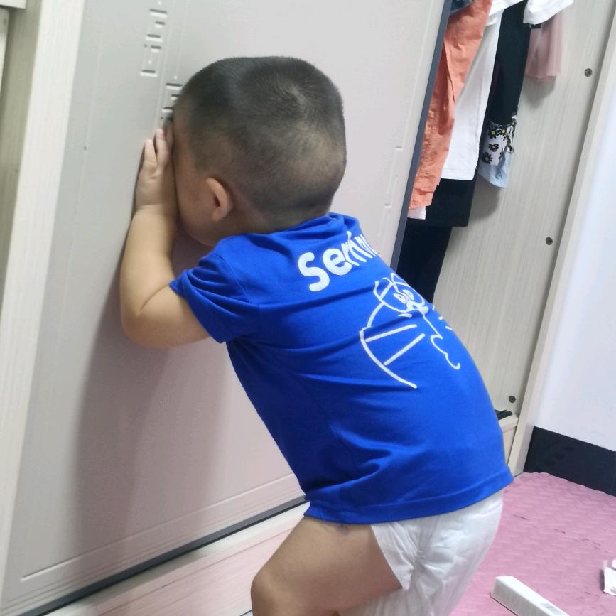 小瑞宝