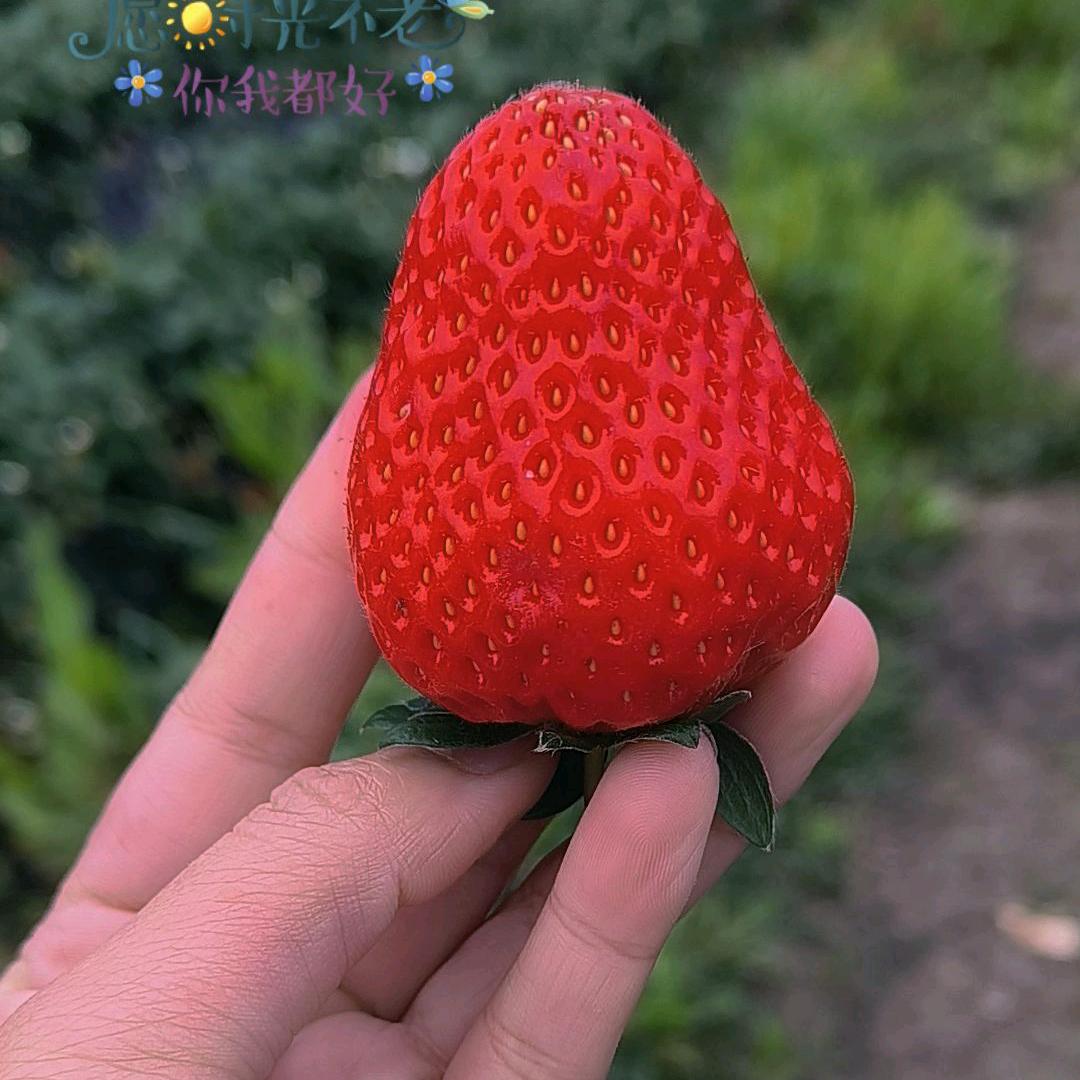 🦋转身ꦿ᭄໊🕊距离᭄ꦿᩚ٭💞