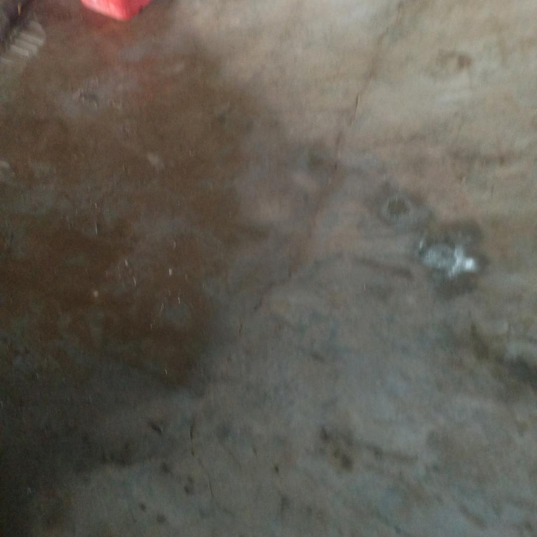 有缘人