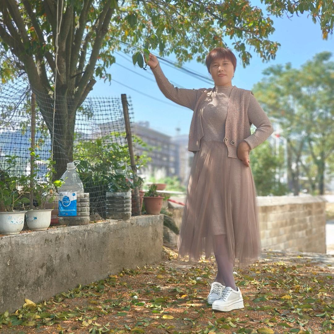 石榴花（春梅健康食品）