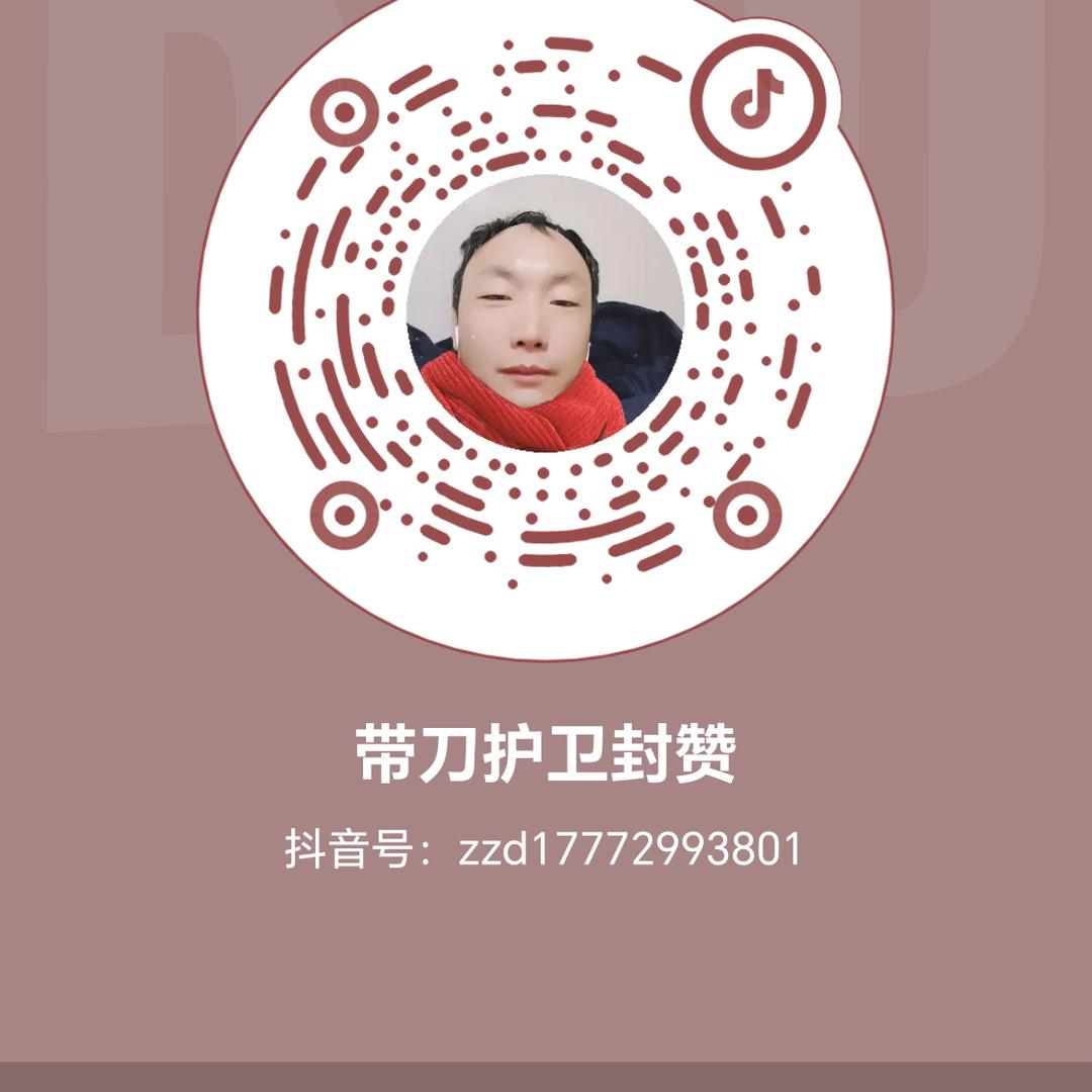 带刀护卫封赞