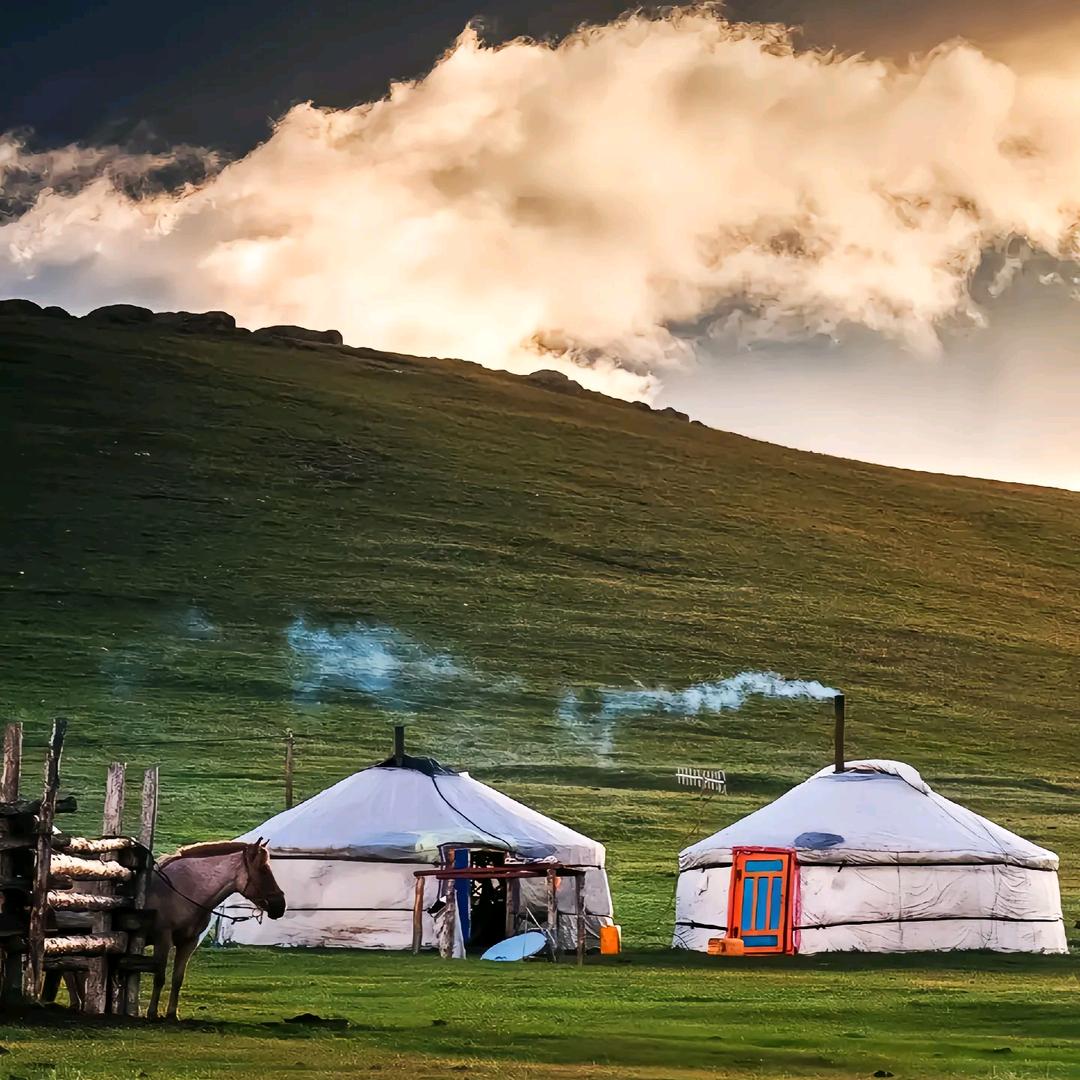 阿义萨内蒙特产溯源