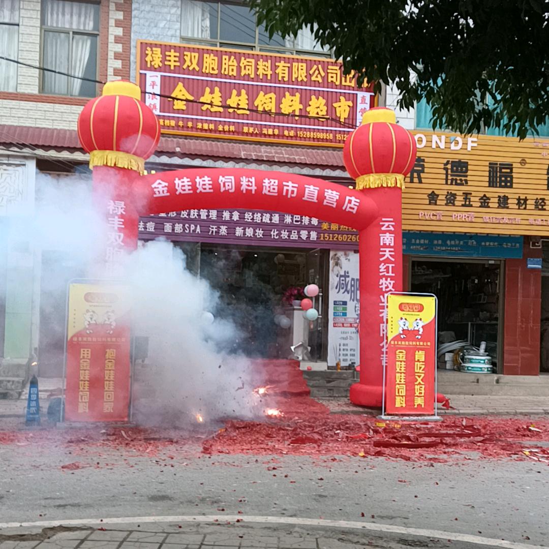 韦紫静禄丰双胞胎饲料金娃娃系列