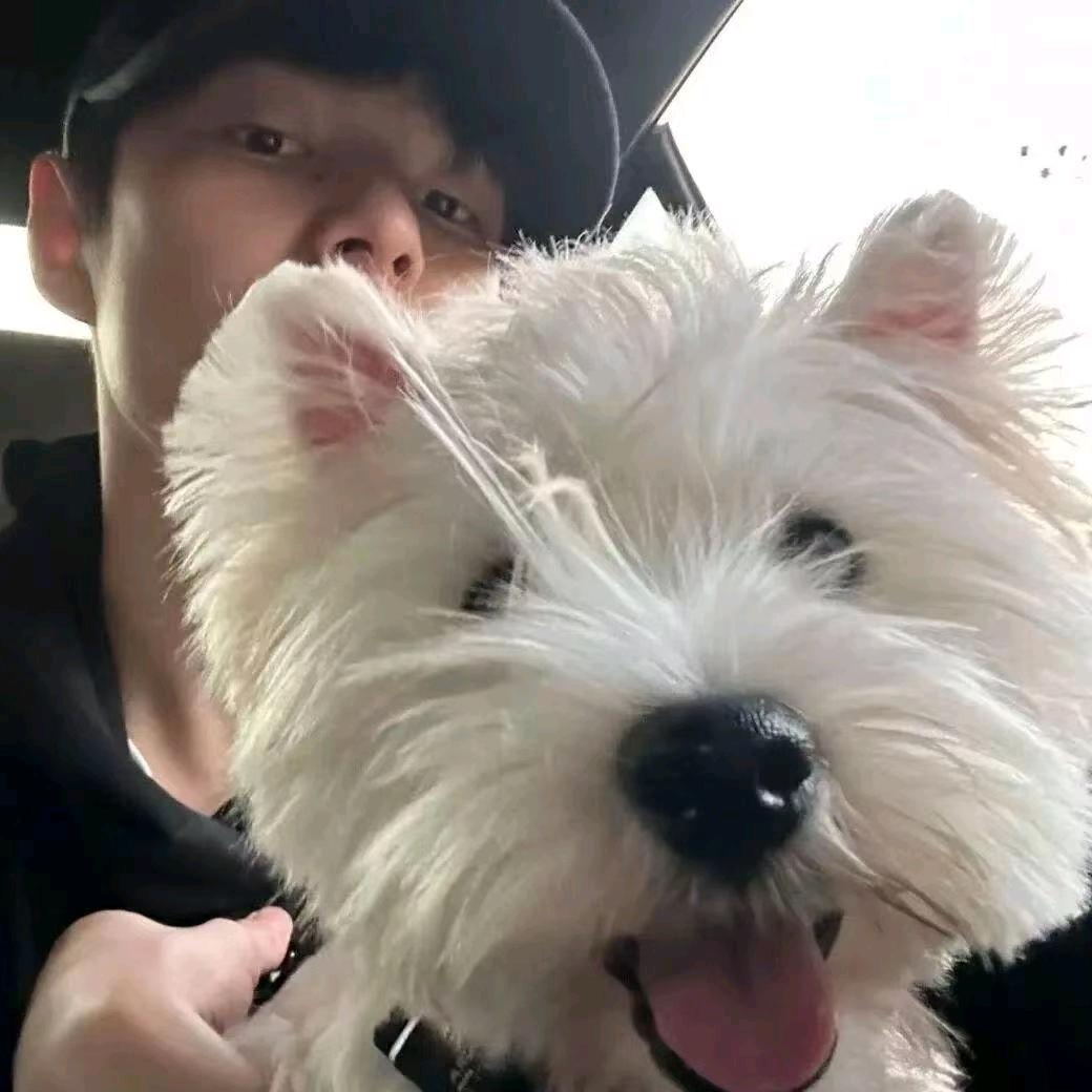 云端的鱼