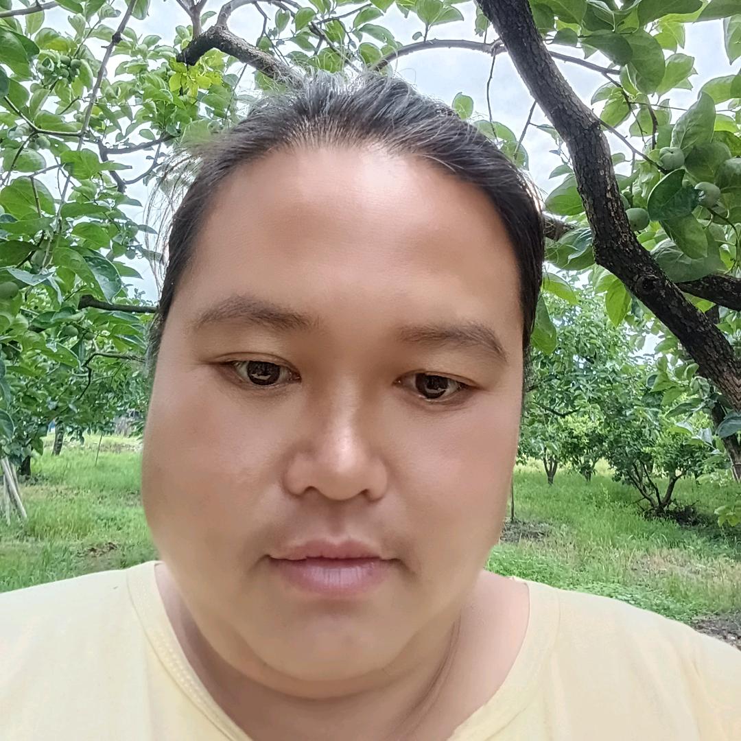 费志嫒