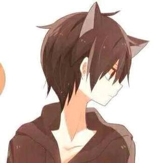 星城猫