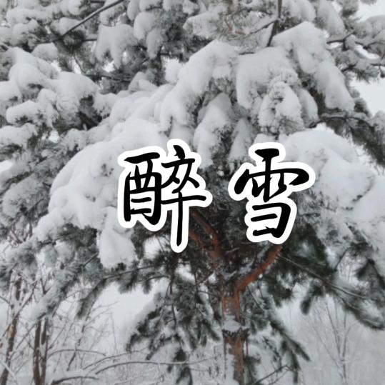 醉雪