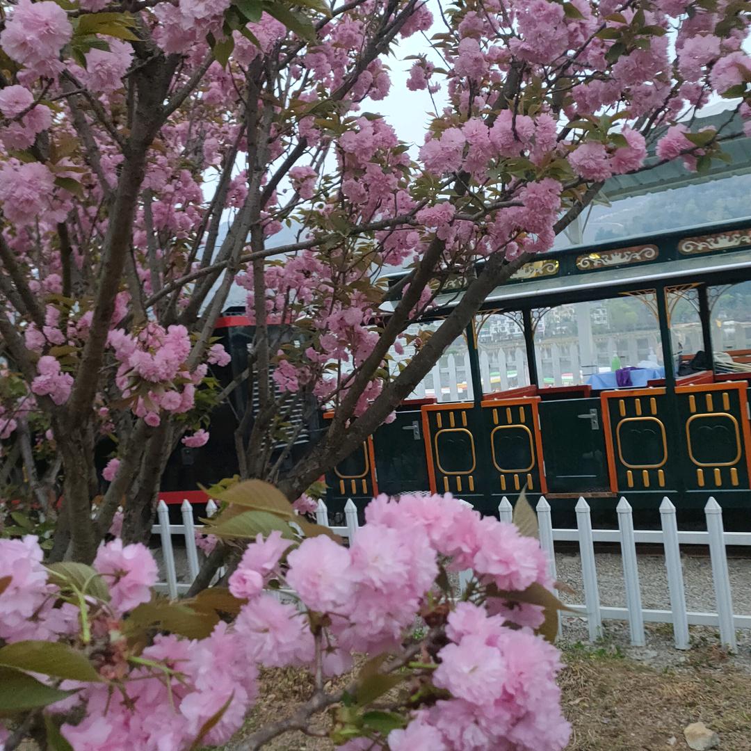 红英的农村生活