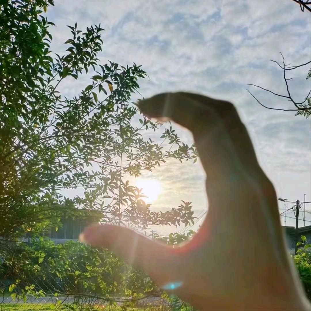 🍀一念🌱🍃放下🌿