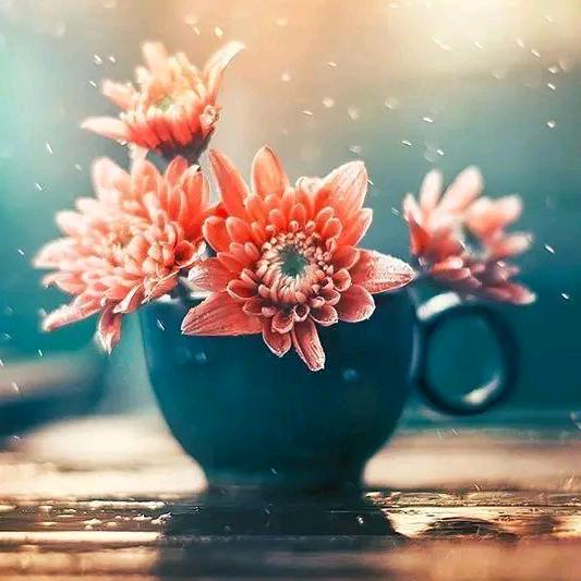 芫芫