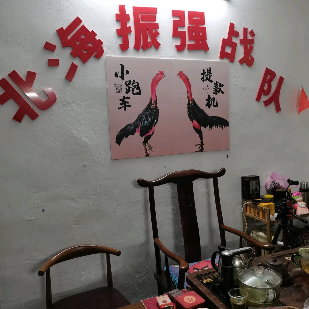 北海陈祖强三鸟生活坊