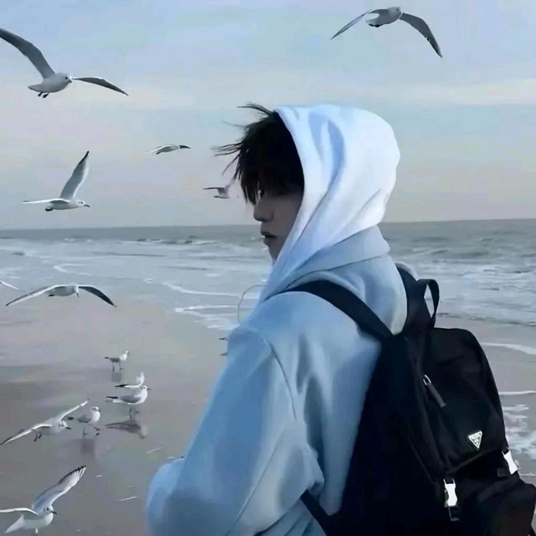 似如黄昏梦