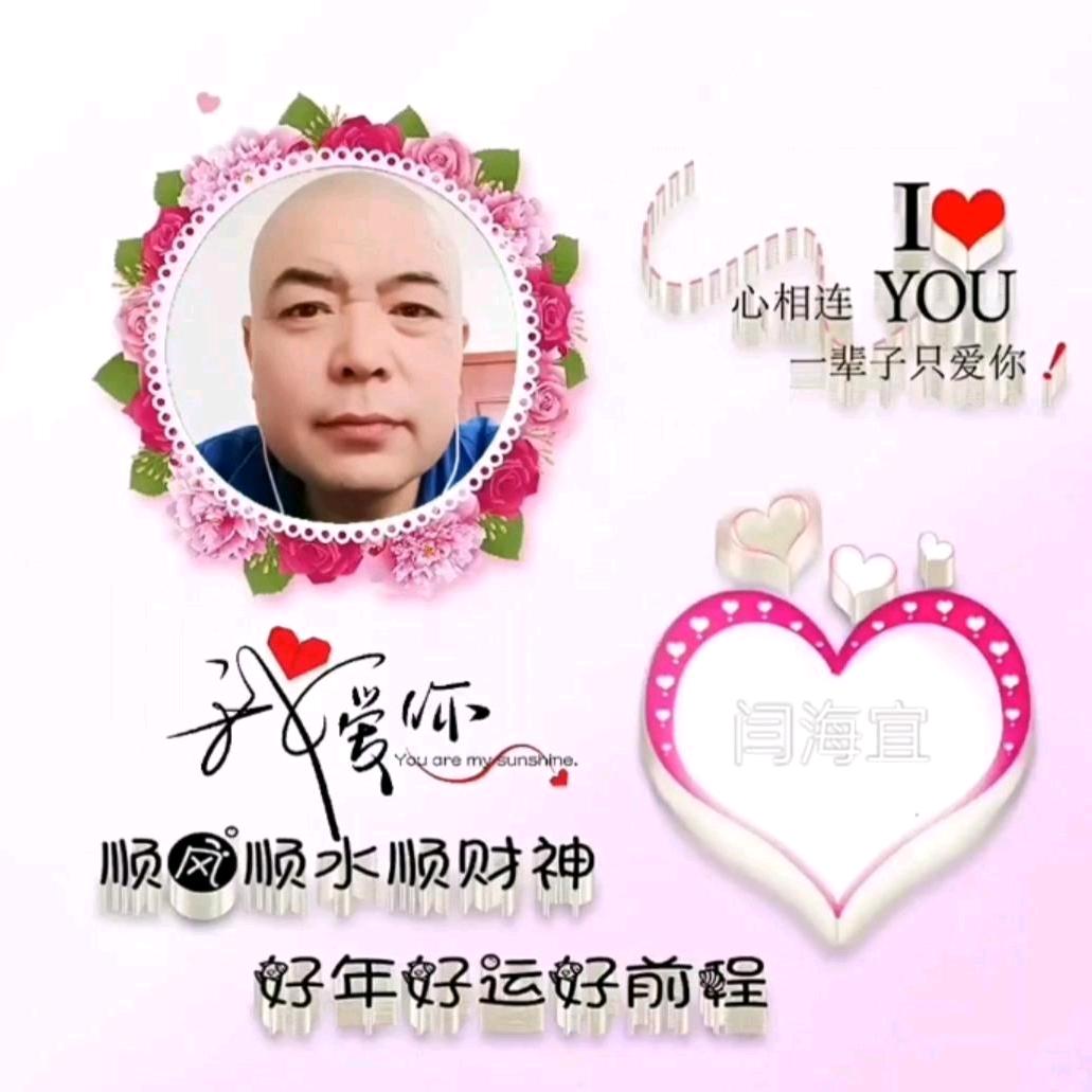 宝哥
