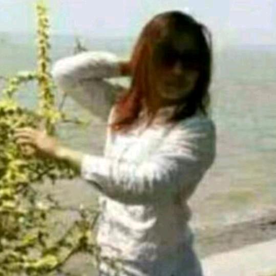 我在定陶你在哪？