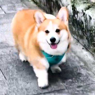 🏅胖胖🏅