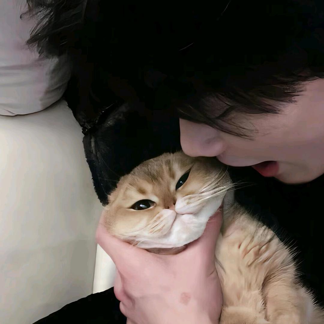 见冬