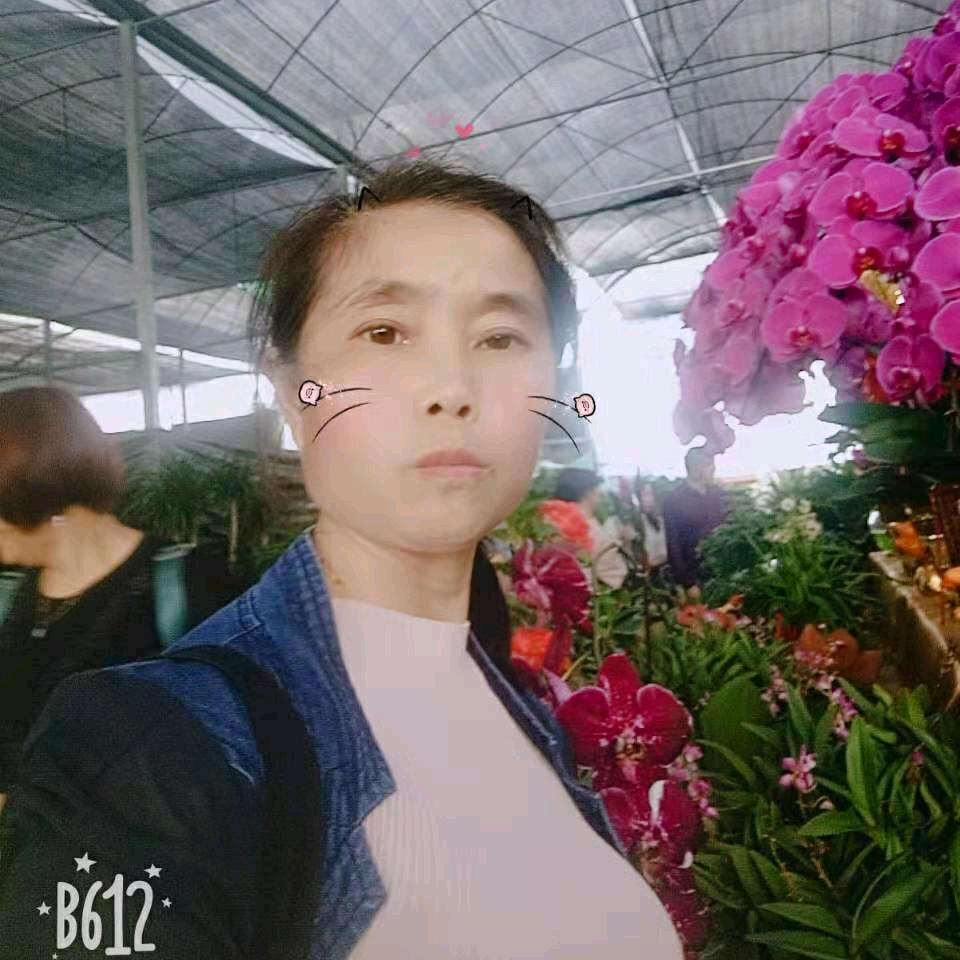英姐姐