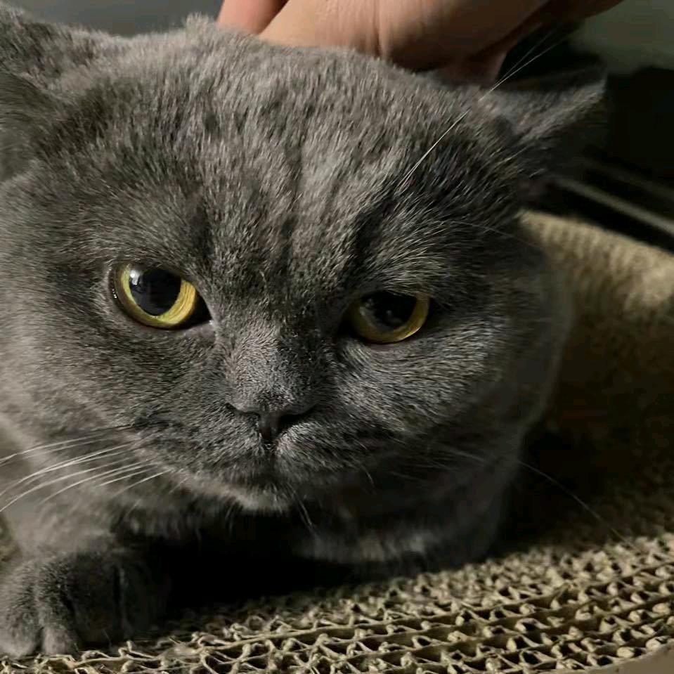 召