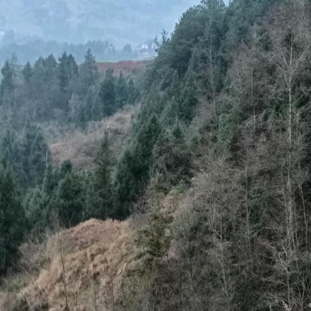 永远珍惜爱情，李晓书