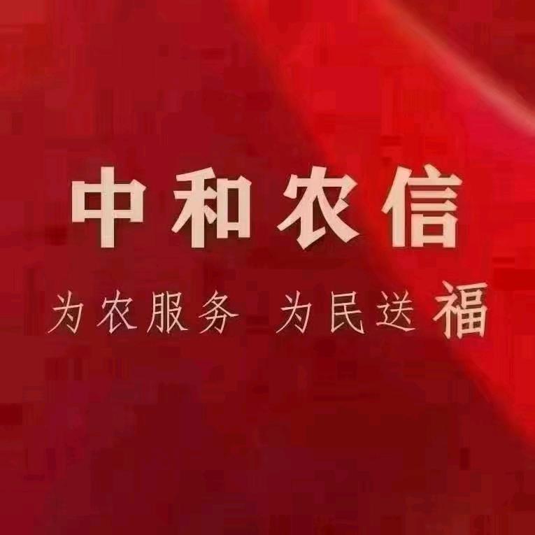 唐河农信钟朝奇