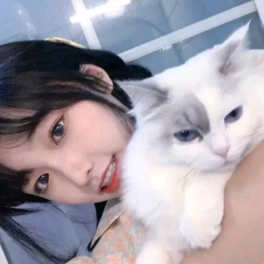 宇宙无敌第一美丽动人的暴龙战士