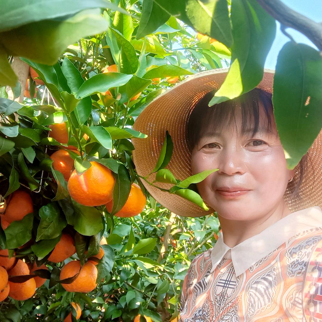 晓莉孃孃