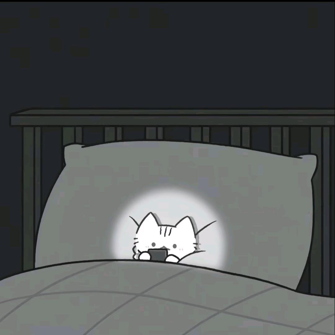 枫忆序