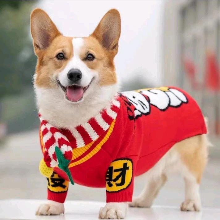 情出自愿事过无悔