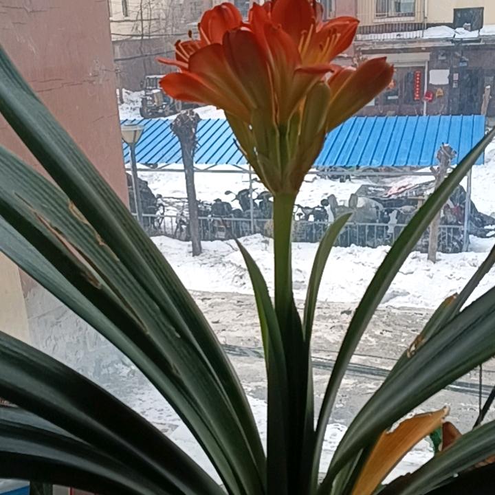惠梅
