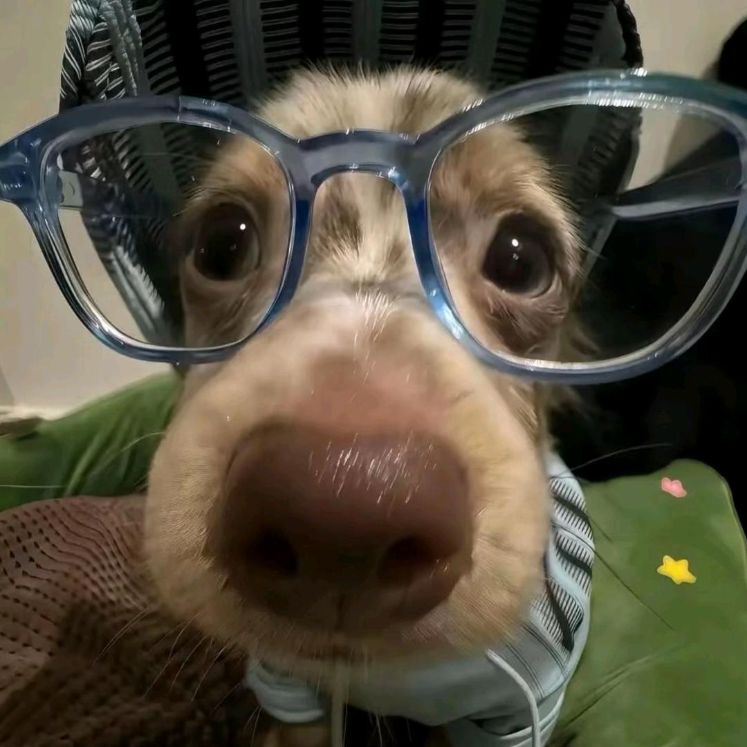 螺旋闪光超唬吼