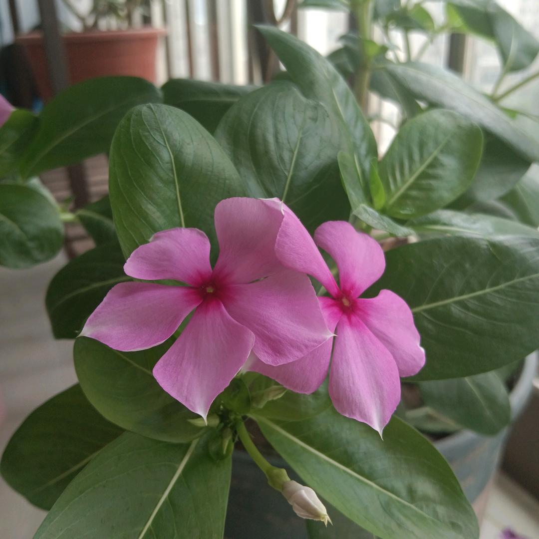 努力+幸运🇨🇳