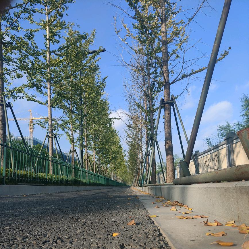 走近、走進、走盡