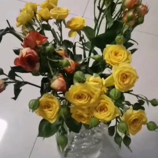 宝贝儿子送给我的花