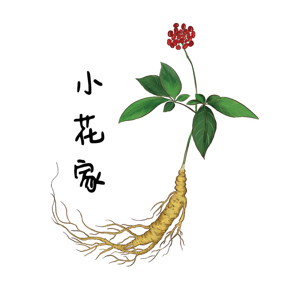 小花家的东北特产店