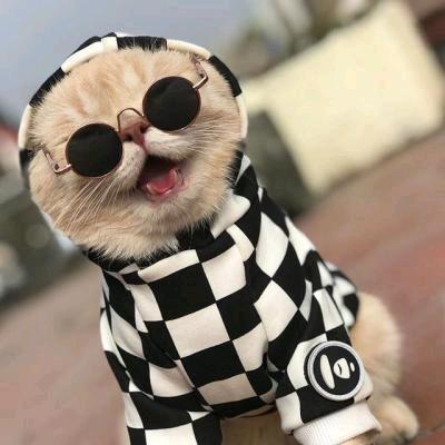 笑笑优选好物