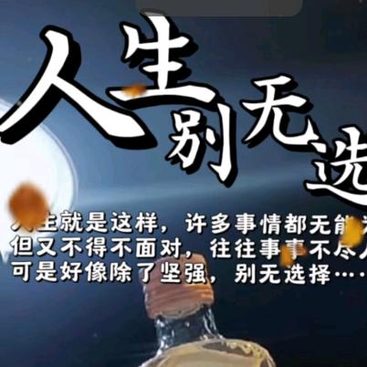 用户7172248495025