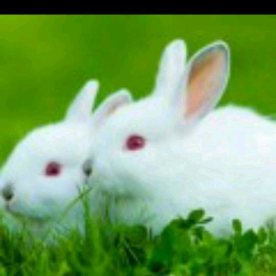 开心快乐每一天